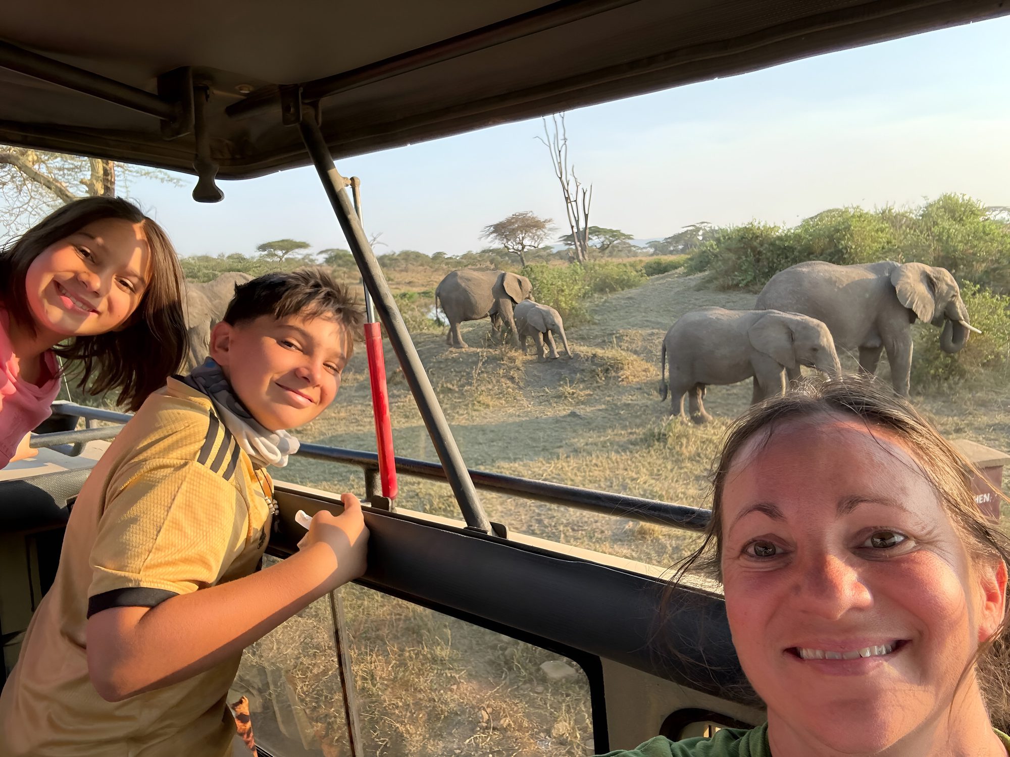 Familie macht ein Selfie im offenen Safariwagen, dahinter Elefanten mit Jungtieren in trockener Savanne im Abendlicht