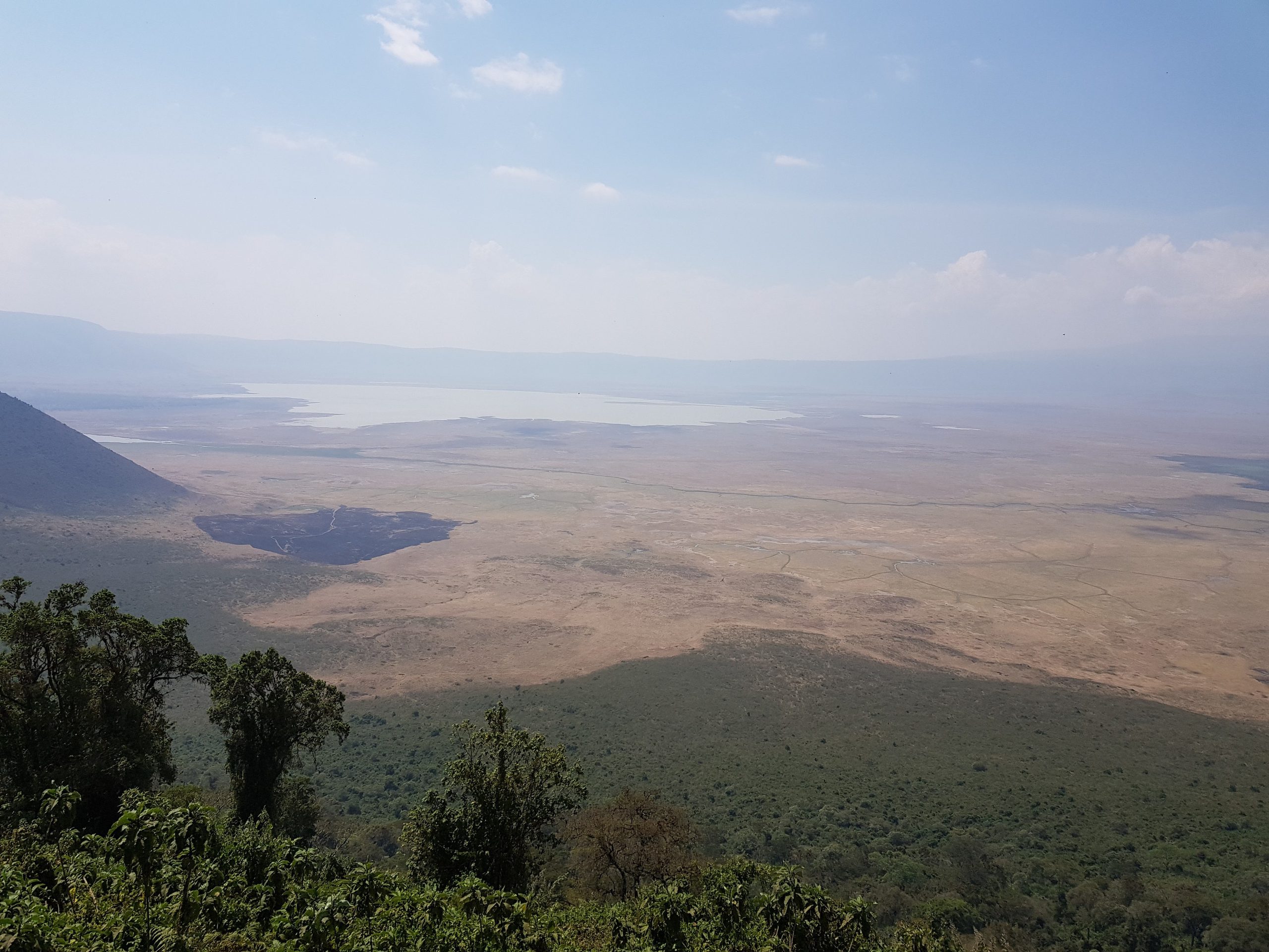 Blick vom bewaldeten Kraterrand in den Ngorongoro-Krater