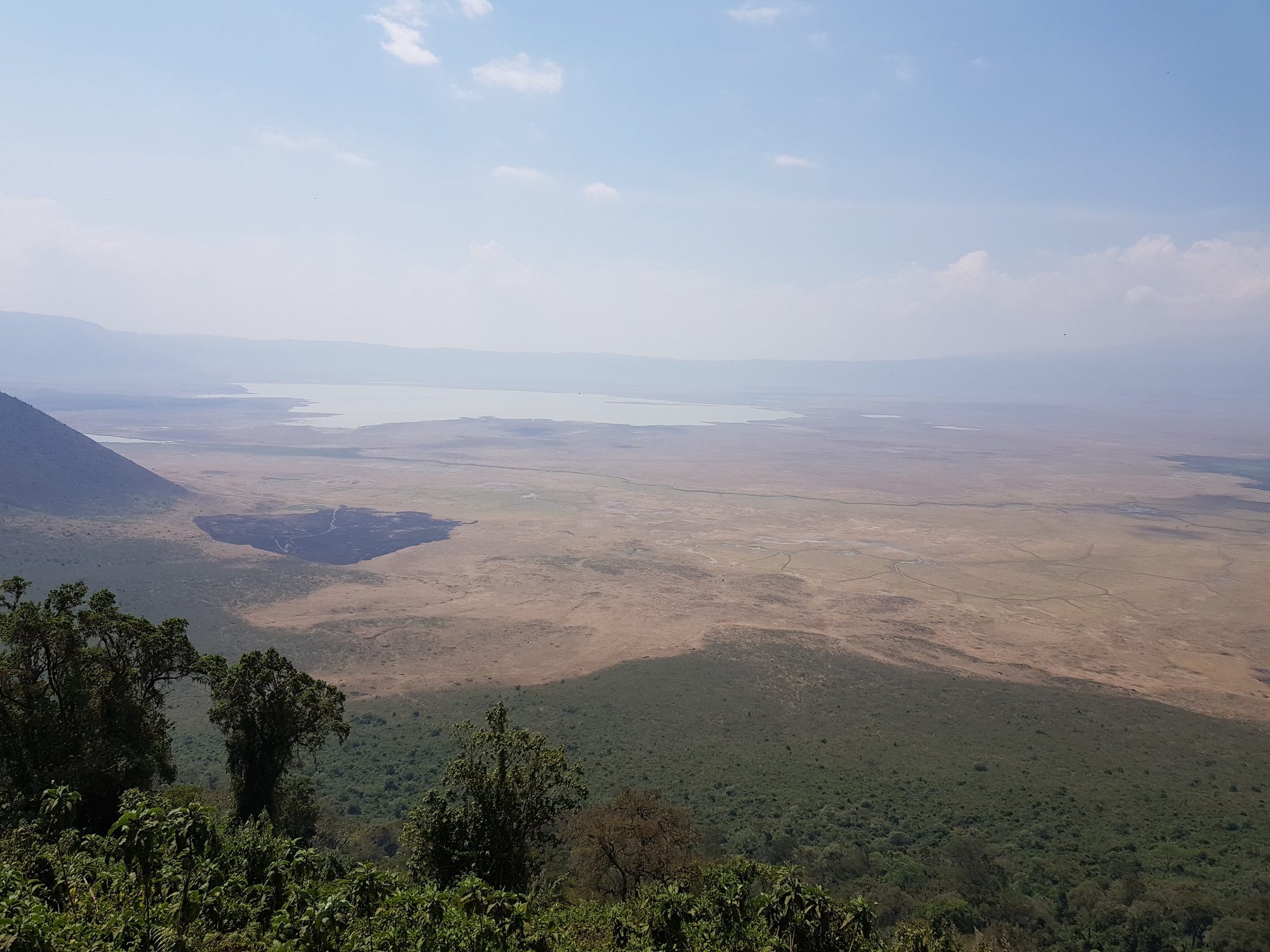 Blick vom bewaldeten Kraterrand in den Ngorongoro-Krater