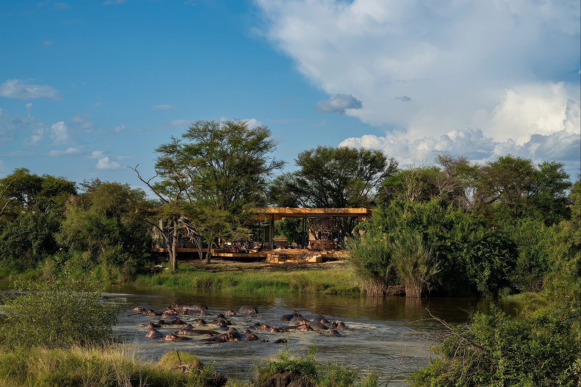 Flusspferde im Fluss an der Andbeyond Grumeti Serengeti River Lodge