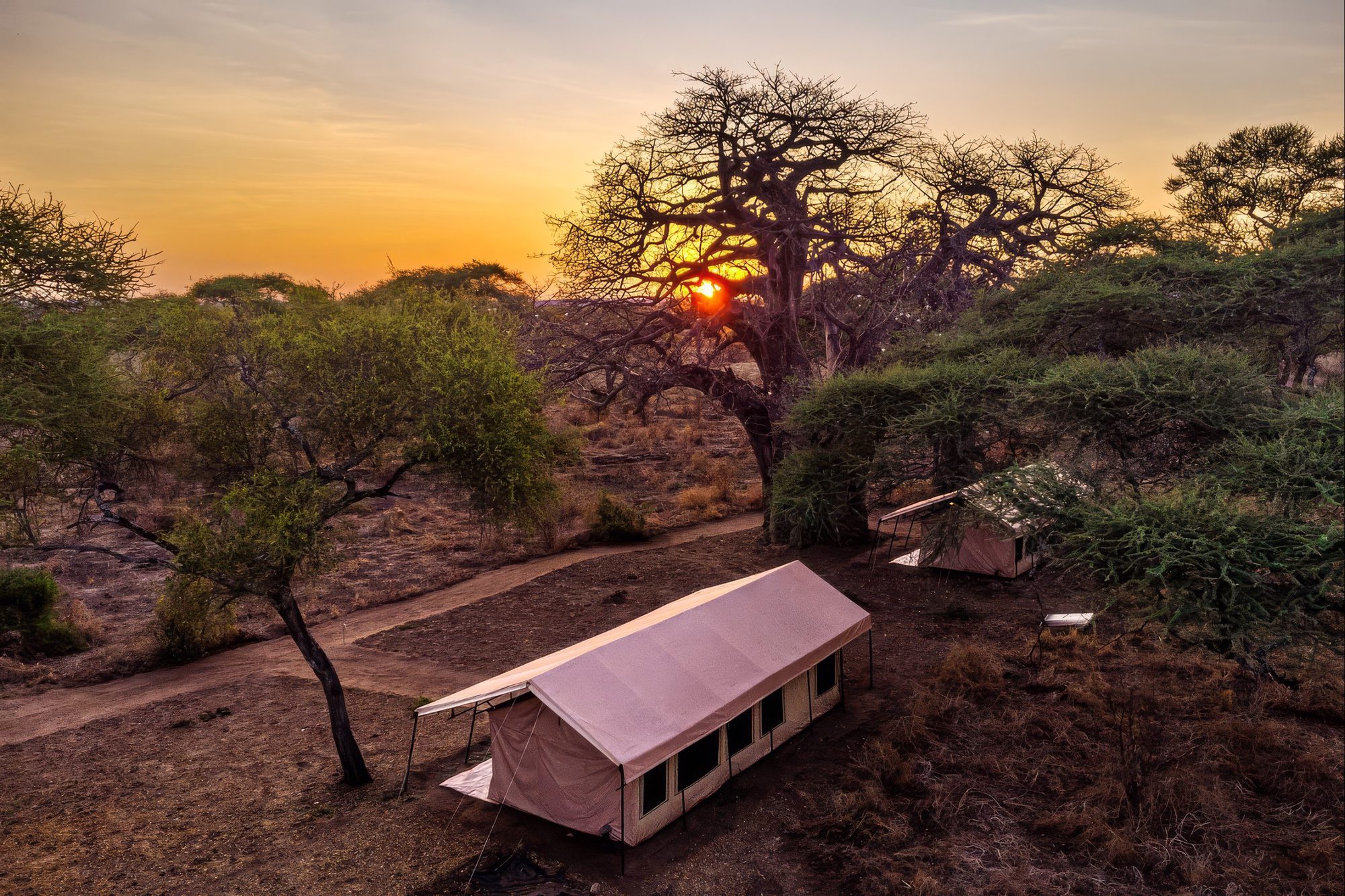 Baobab con tienda del Baobab Tented Camp a la puesta de sol