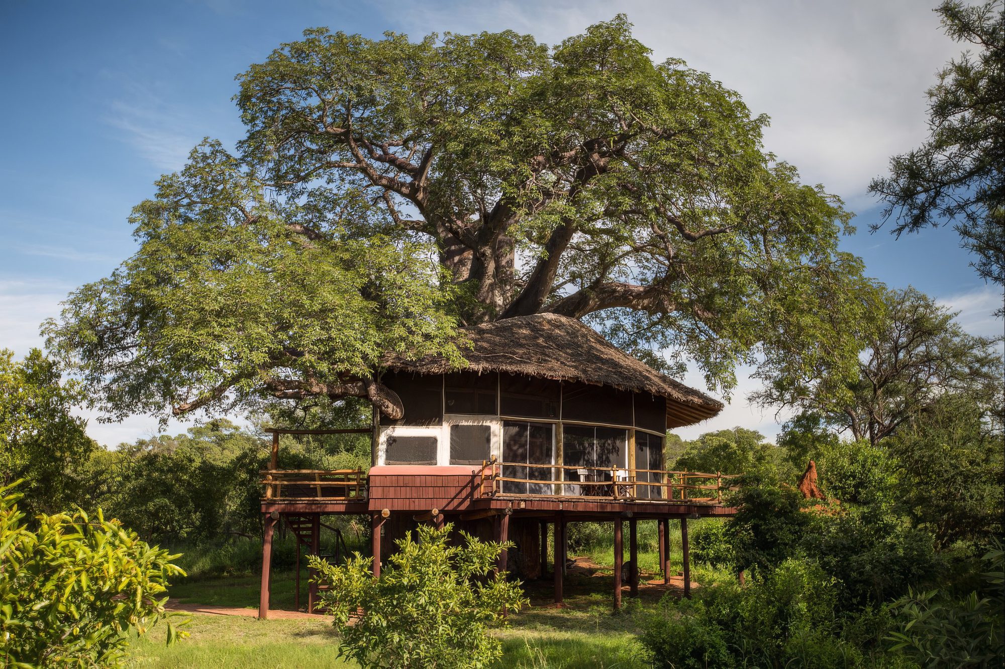 Casa del árbol sobre pilotes en un baobab en Elewana Tarangire Treetops