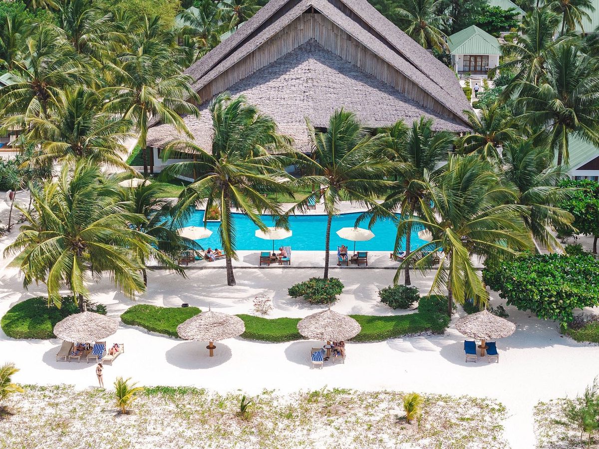 Vista aérea de la zona de la piscina con palmeras y sombrillas