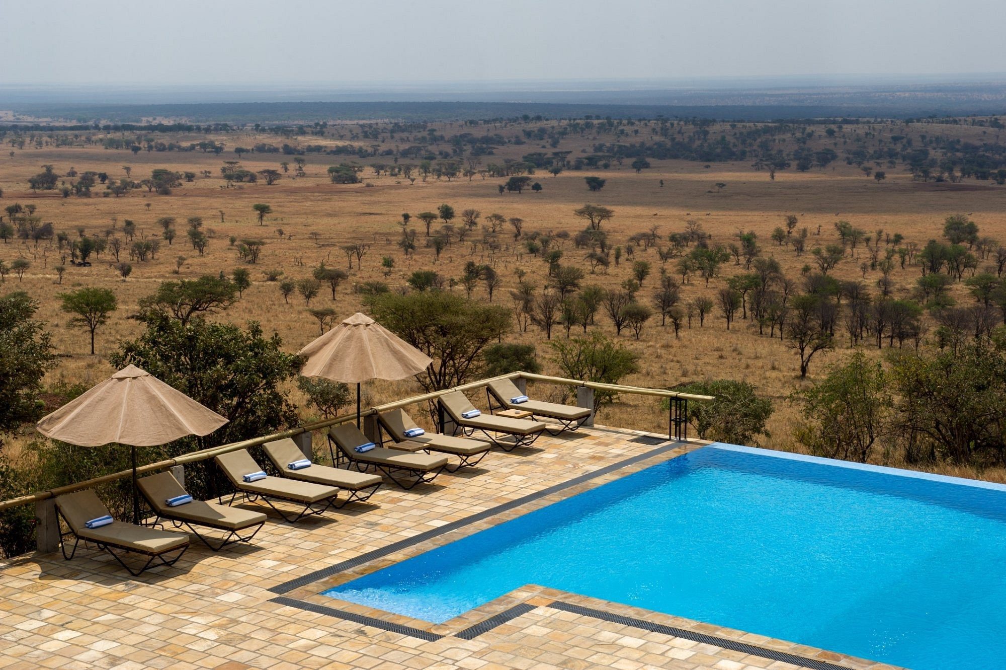Pool der Kubu Kubu Tented Lodge mit Liegen über der Savanne
