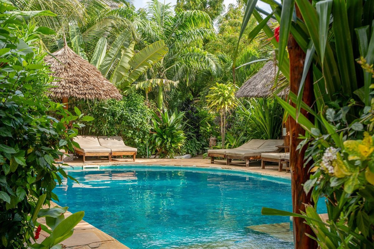 Piscina en el jardín entre techos de paja y palmeras