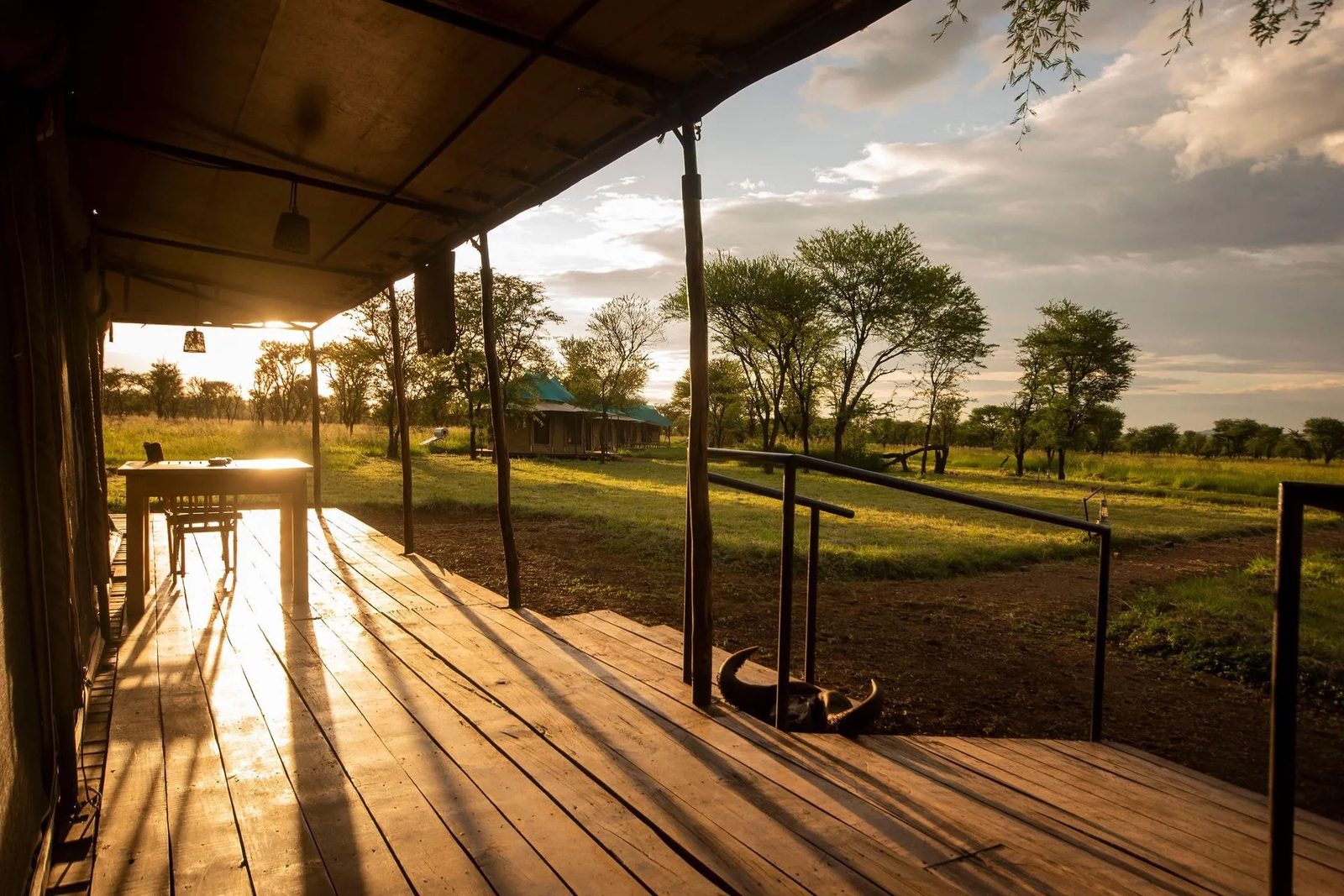 Terraza cubierta con vistas a la sabana a la puesta de sol