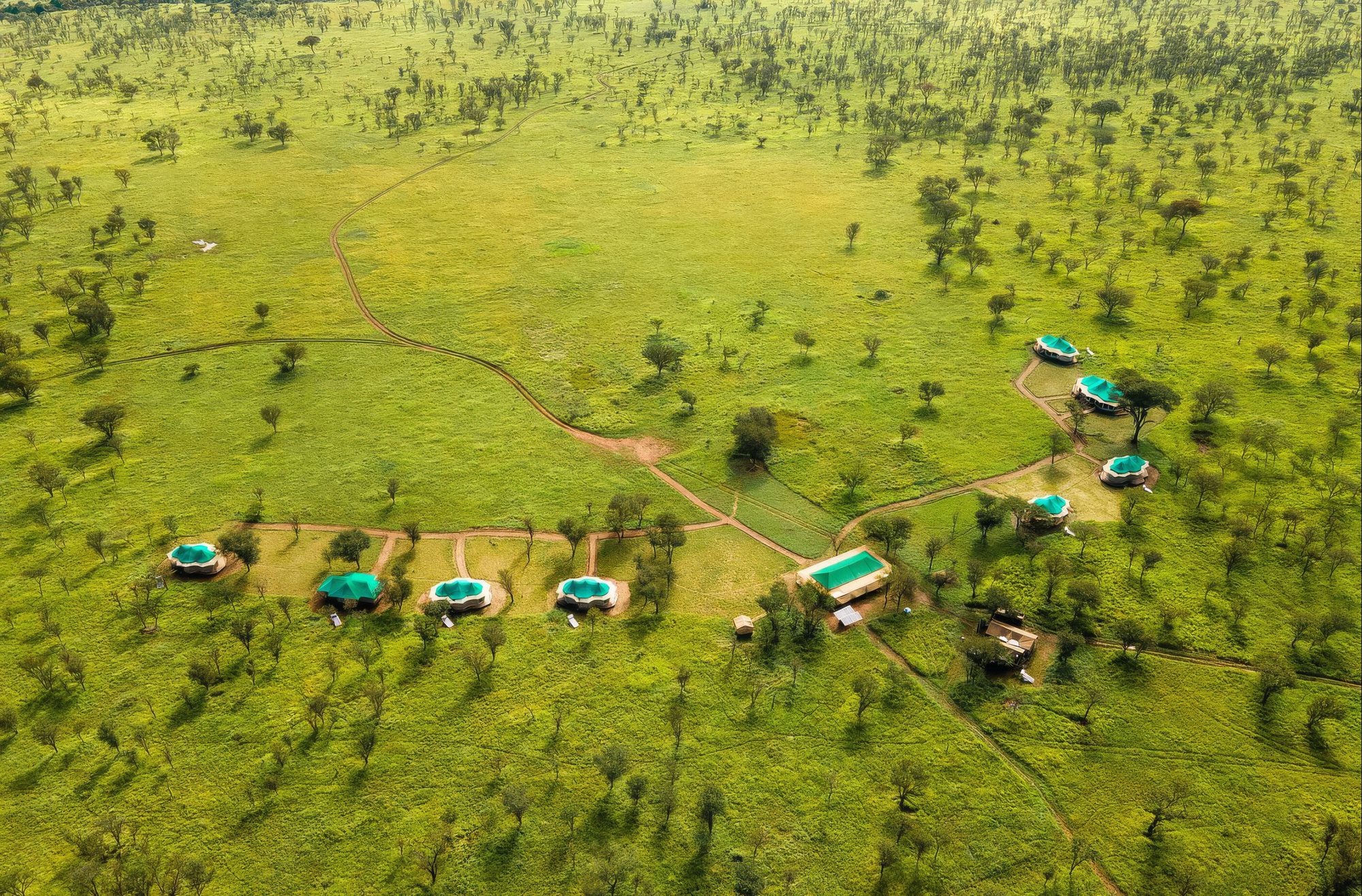 Campamento de safari del Narudi Tented Camp con piscinas en un paisaje verde