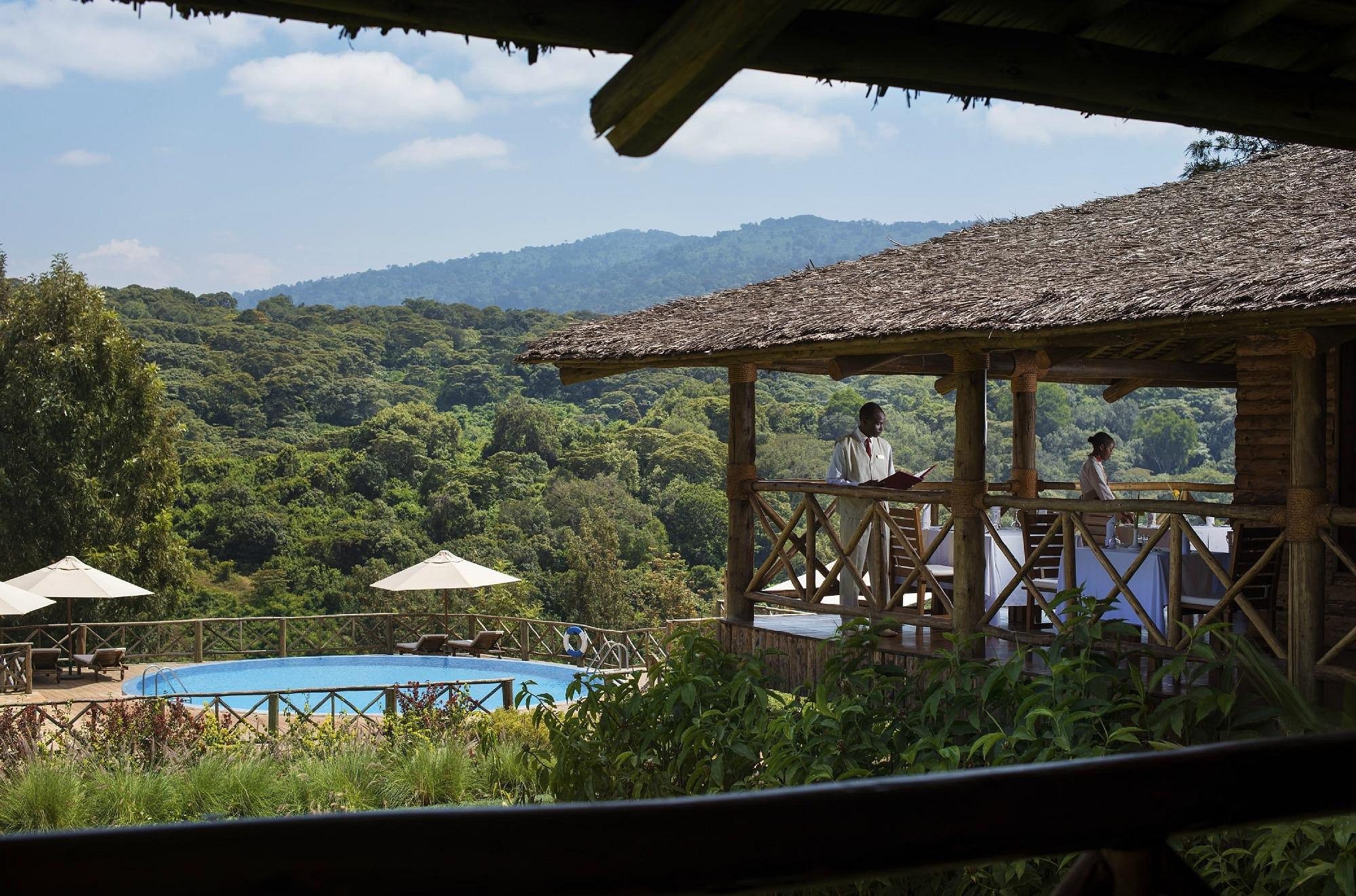 Terraza con piscina y vistas al bosque