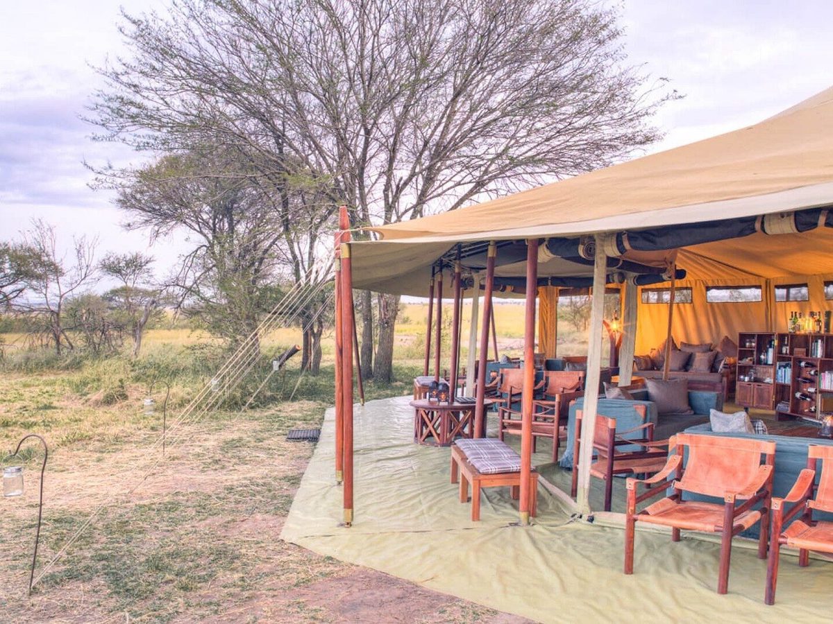 Salón cubierto con bar al aire libre, sabana al fondo