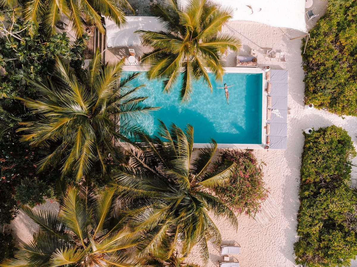 Vista aérea de la piscina entre las palmeras