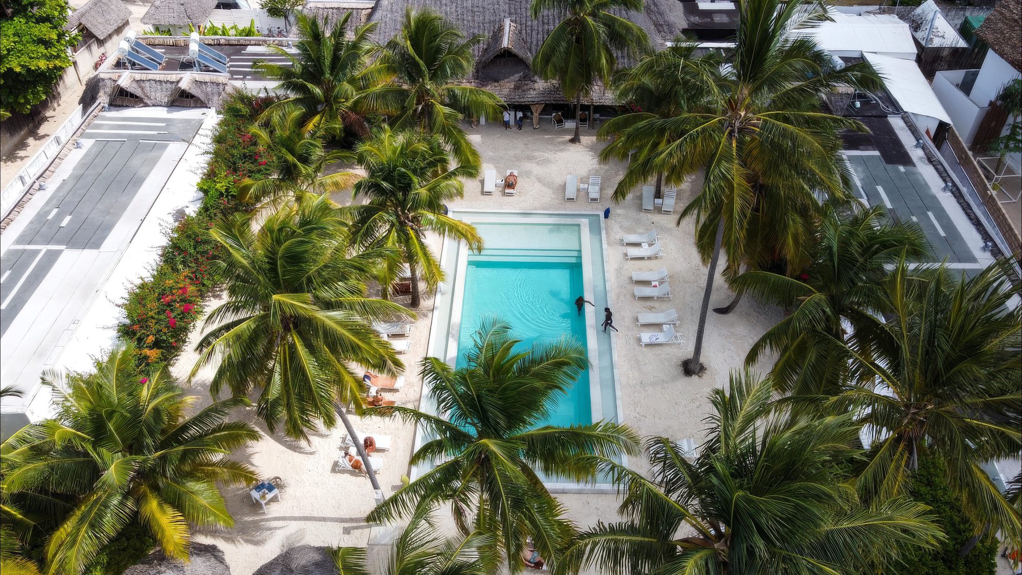 Zona de la piscina de The Loop Beach Resort en Jambiani con palmeras