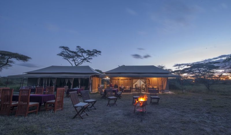 Dos tiendas de Acacia Migration Camp Ndutu con mesas puestas, brasero y acacias paraguas en la pradera