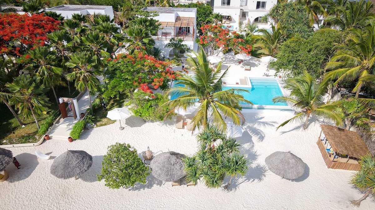 Vista aérea del jardín de arena del Alma Boutique Hotel con sombrillas de paja, piscina y árboles en flor