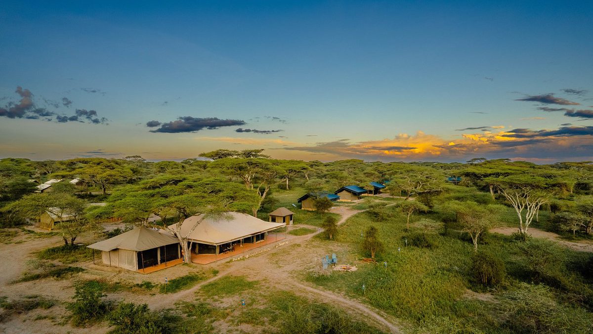 Vista aérea del campamento de tiendas del Ang'ata Migration - Ndutu Camp entre acacias al atardecer