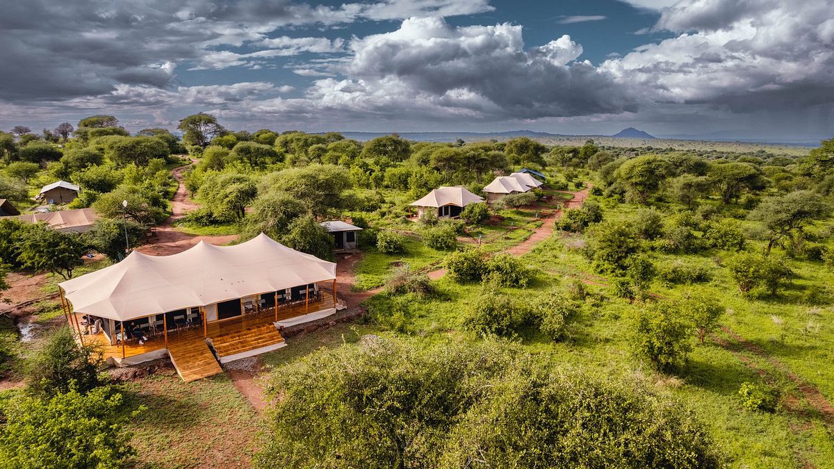 Vista aérea de las tiendas del Ang'ata Tarangire Camp en el matorral verde