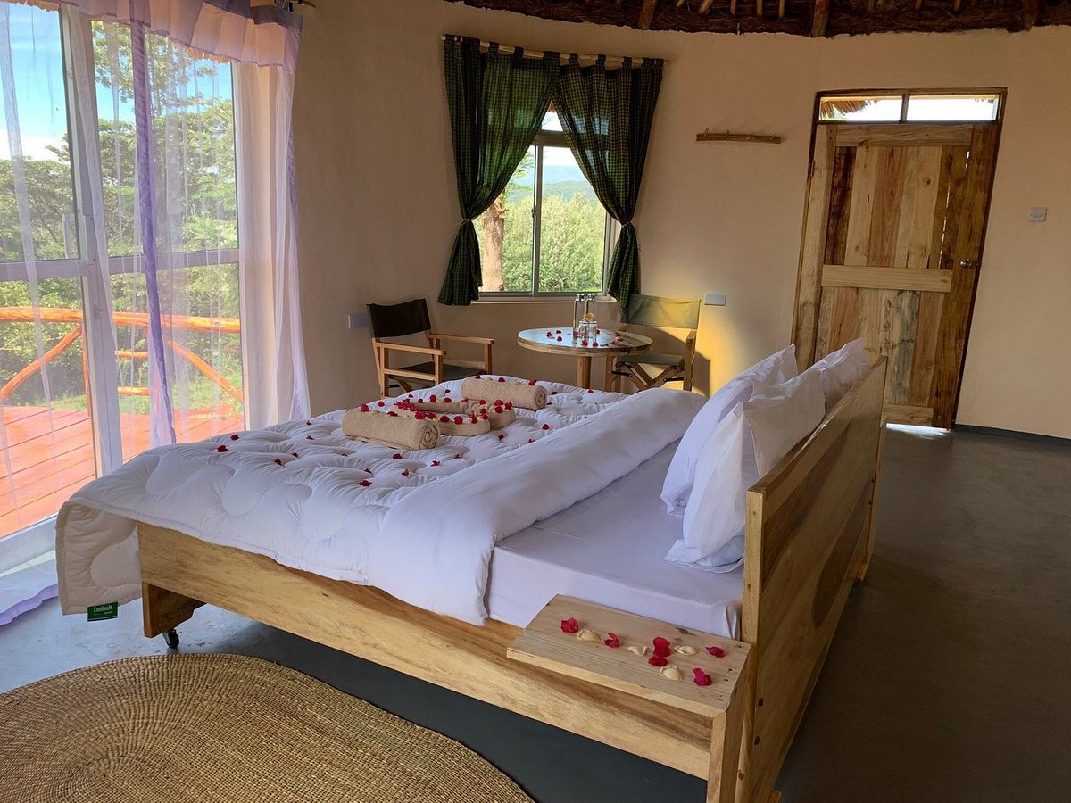 Helles Zimmer der Foresight Eco Lodge mit Holzbett, Rosenblüten auf der Decke und großer Glasfront