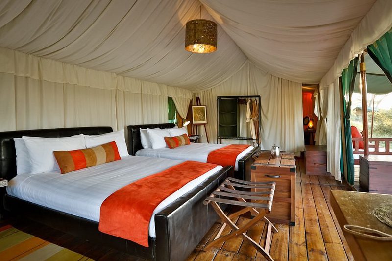 Habitación de la tienda en el Lemala Mara Tented Camp con dos camas dobles, mantas naranjas y suelo de madera