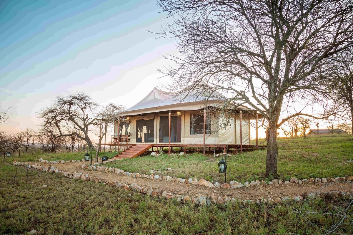 Tienda del Matawi Serengeti Camp sobre una plataforma de madera con camino de piedra y faroles al atardecer