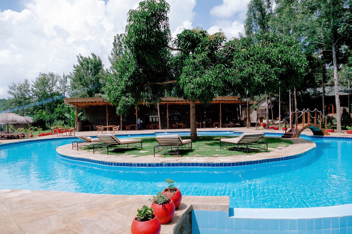 Piscina curva de la Mtoni River Lodge alrededor de una isla de césped con tumbonas bajo un gran árbol