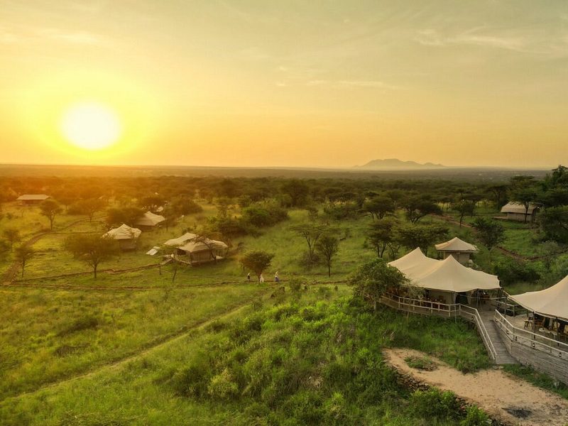 Tiendas de la Serengeti Kifaru Tented Lodge repartidas en un verde paisaje de colinas al atardecer