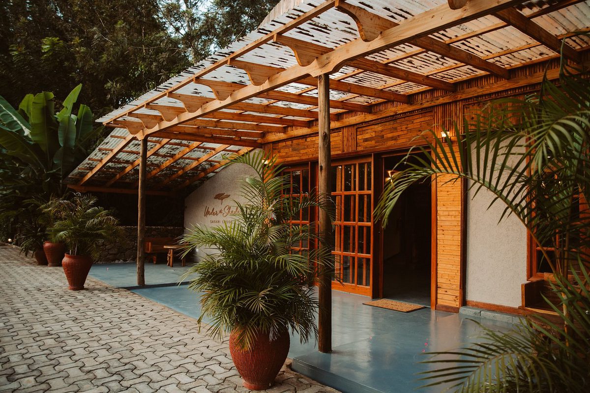 Entrada de la casa principal de la Under The Shade Safari Lodge con pérgola de madera y palmeras en macetas de barro