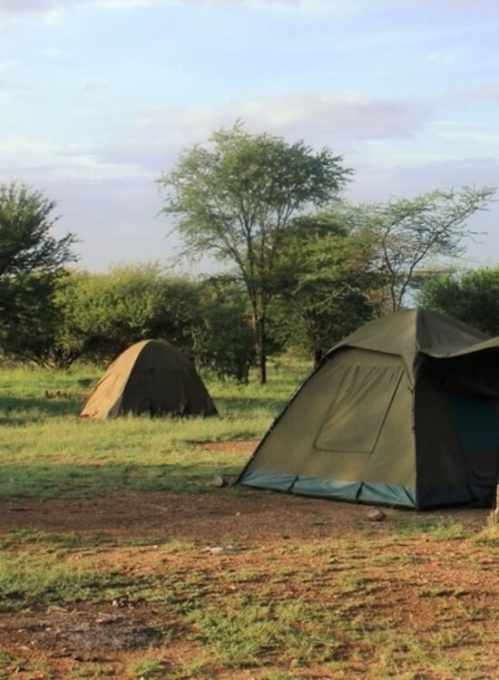 Zeltcamp auf Safari in Tansania – authentisches Naturerlebnis