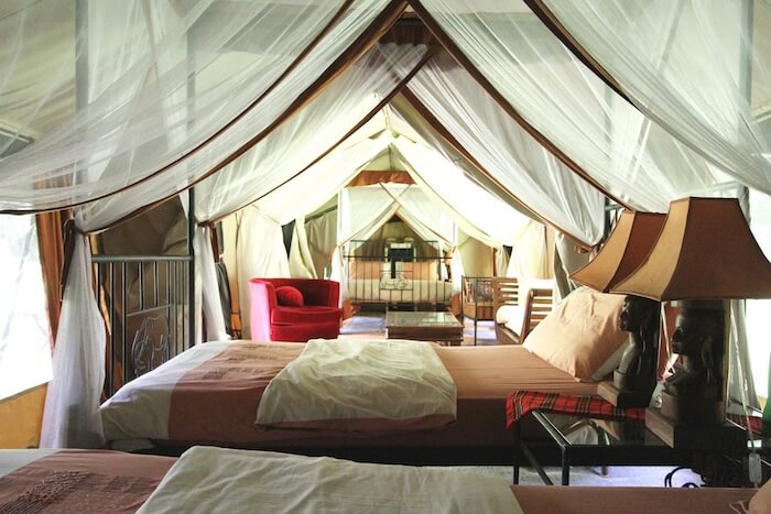Twinzimmer im Intimate Camp Zebra